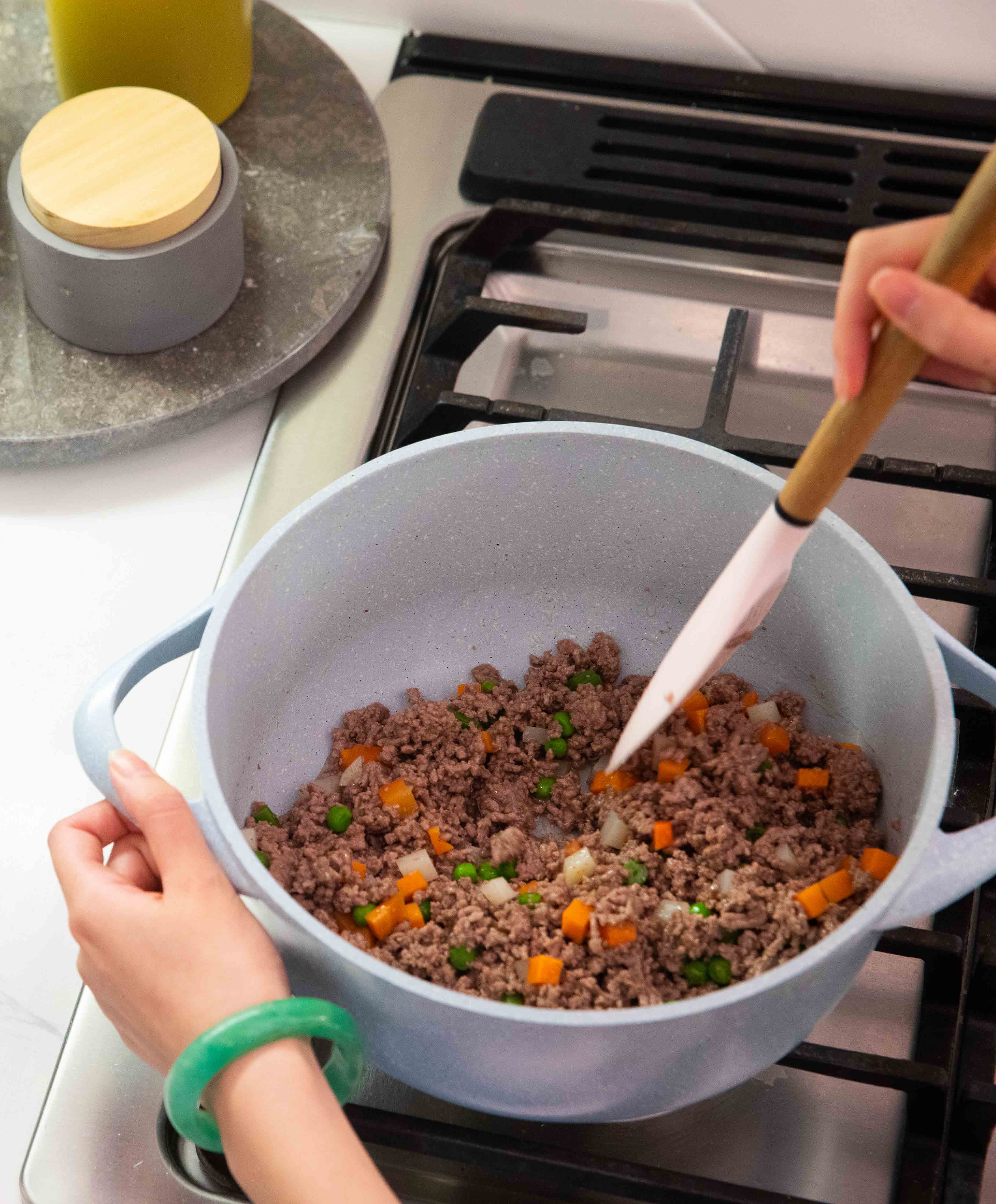 Kabo Fresh Dog Food Sample Box